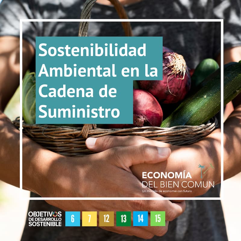 Sostenibilidad ambiental y bien común